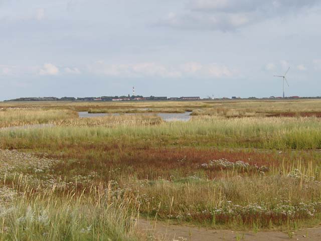 Borkum 03 - 26.jpg